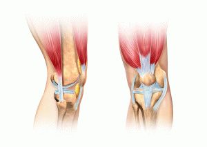Болит мышца под коленом сзади