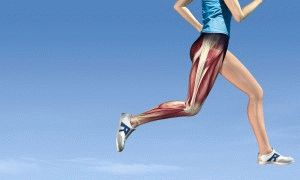 Воспаление мышц ног 